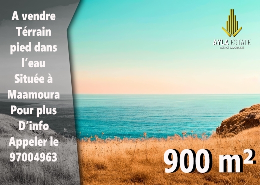 A vendre Terrain pied dans l'eau à Maamoura Nabeul