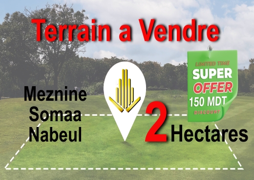 A vendre Terrain 2 Hectares à Meznine Nabeul