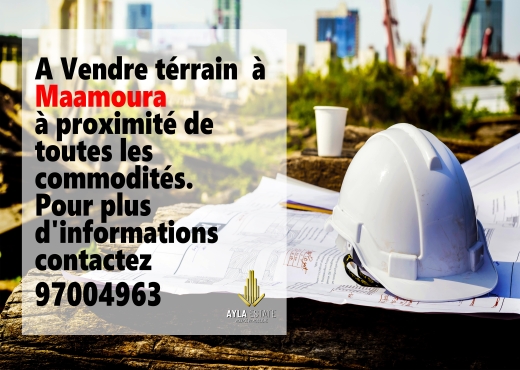 A vendre Terrain à Maamoura Nabeul - Bien immobilier à {"id":16,"country_id":219,"name":"NABEUL","slug":"nabeul"} - Agence Immobilière Ayla Estate
