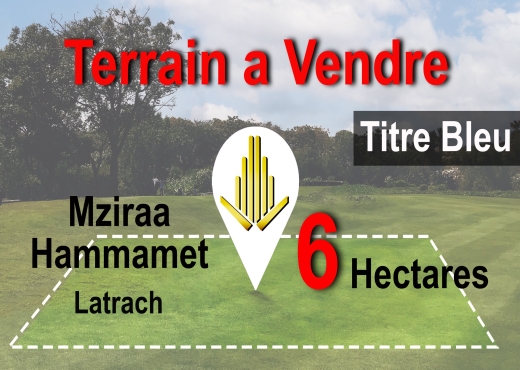 A vendre terrain agricole à Mziraa Hammamet - Bien immobilier à {"id":16,"country_id":219,"name":"NABEUL","slug":"nabeul"} - Agence Immobilière Ayla Estate